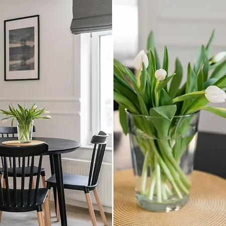 Sanhaus - Mewa - Komfortowe Przy Deptaku Apartamento *